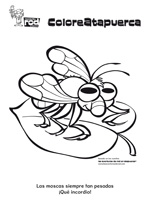 Descargar dibujo para colorear en JPG